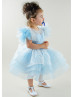 Sky Blue Ruffle Tulle Sleeves Sparkly Flower Girl Dress